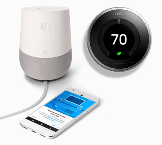 Google & Nest